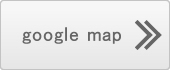 googlemap